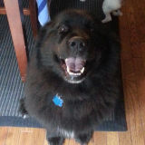 Sadie