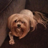 Allie Mae