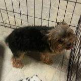 Lola