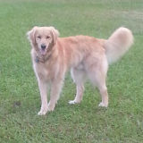 Oliver