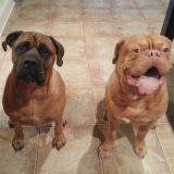 Princess and Mufasa