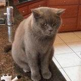 George